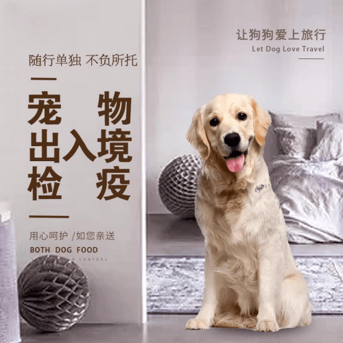 林芝地区宠物托运到哥伦比亚猫狗宠物入境规定和