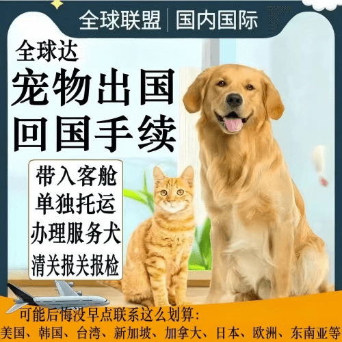 林芝地区宠物托运到柬埔寨宠物入境规定和要求