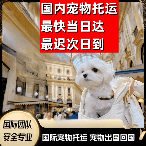 林芝地区到澳大利亚（澳洲）宠物入境规定和要求